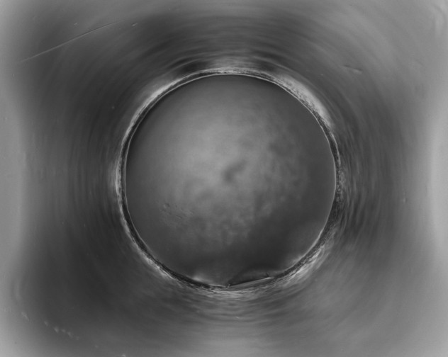 X0000094060855200710191100