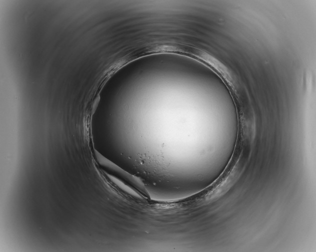 X0000094060857200710191100
