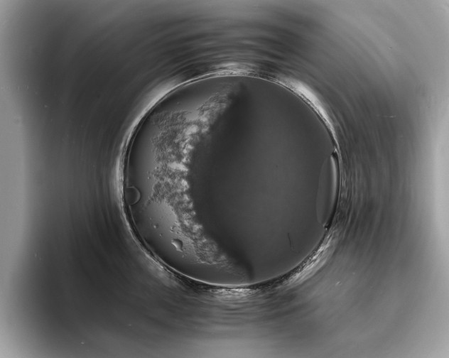 X0000094060859200710191100