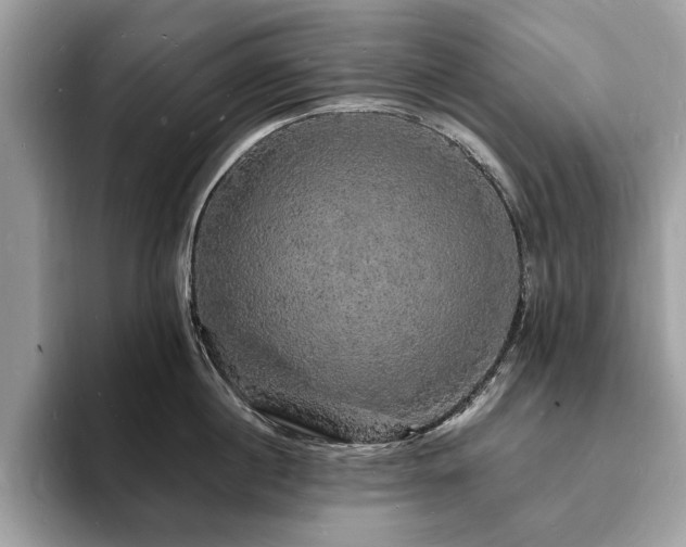 X0000094060860200710191100