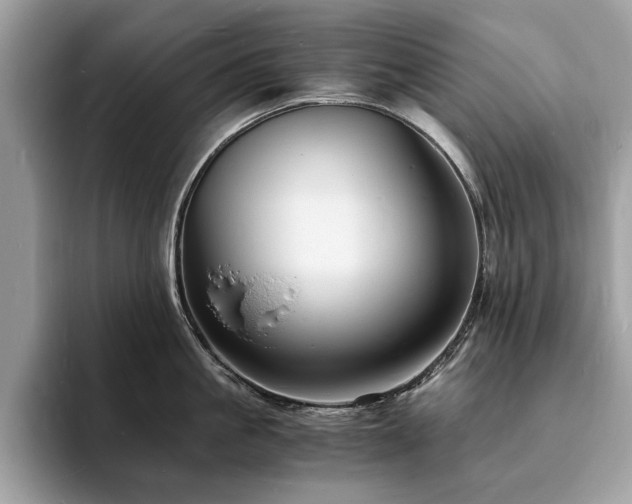 X0000094060861200710191100