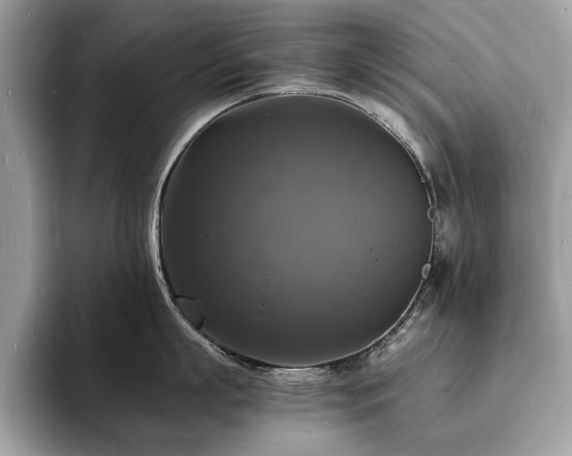 X0000094060863200710191100