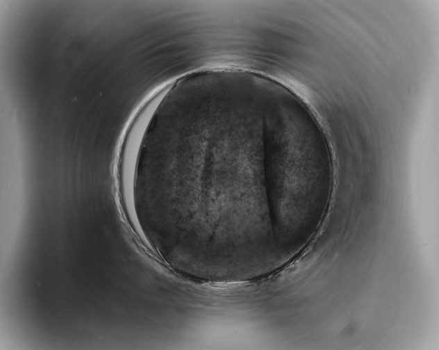 X0000094060864200710191100
