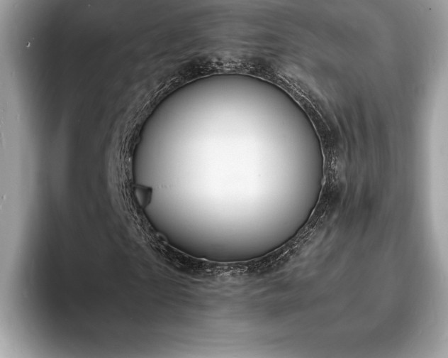 X0000094060865200710191059
