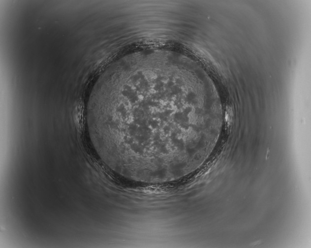 X0000094060867200710191059