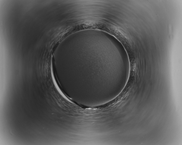 X0000094060868200710191059