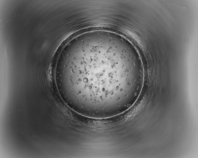 X0000094060875200710191059