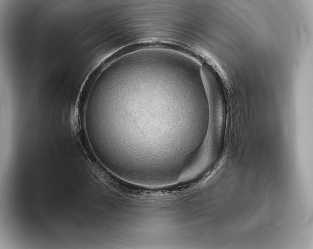 X0000094060876200710191059