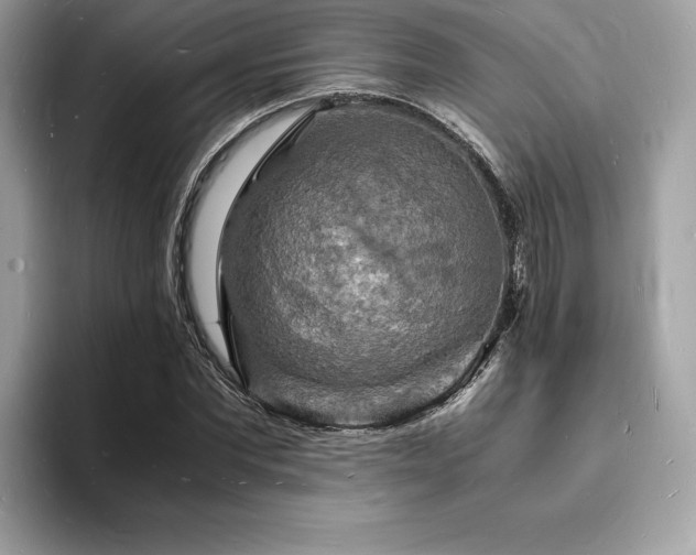 X0000094060877200710191059