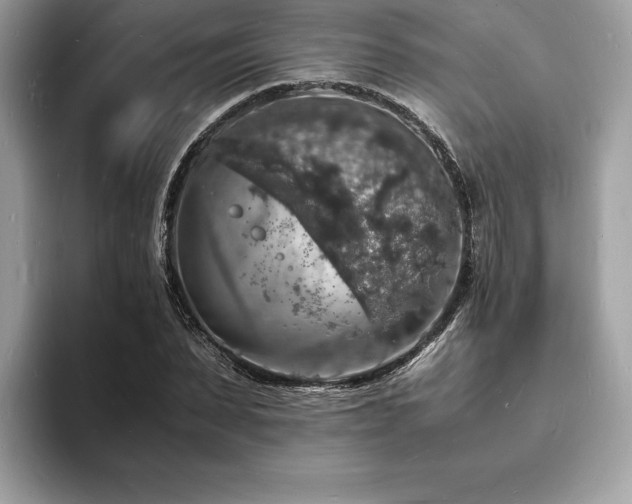 X0000094060879200710191059