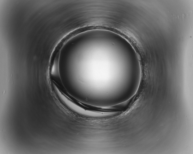 X0000094060880200710191059