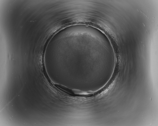 X0000094060881200710191059