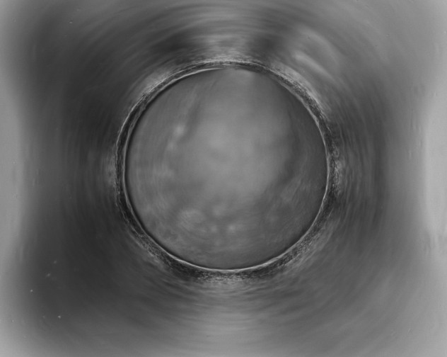 X0000094060882200710191059