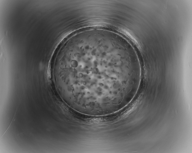 X0000094060883200710191059