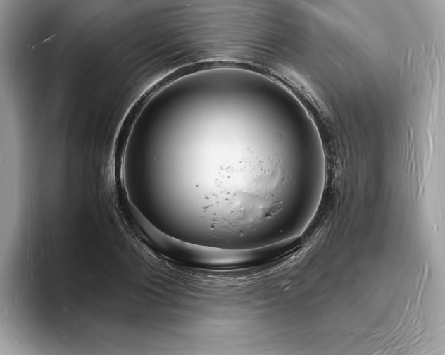 X0000094060884200710191059