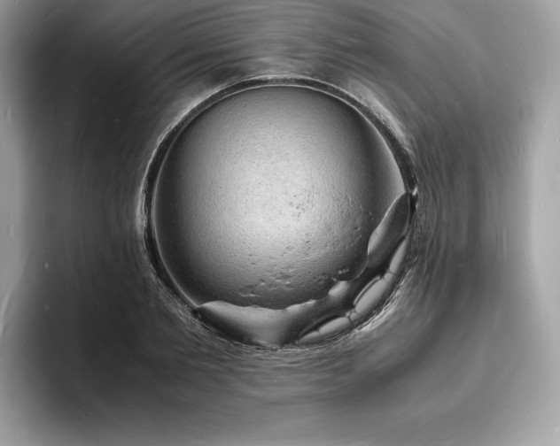 X0000094060885200710191059