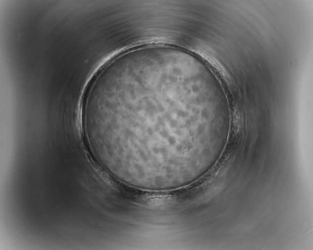 X0000094060886200710191059