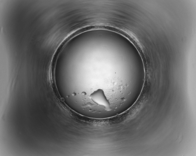 X0000094060887200710191059