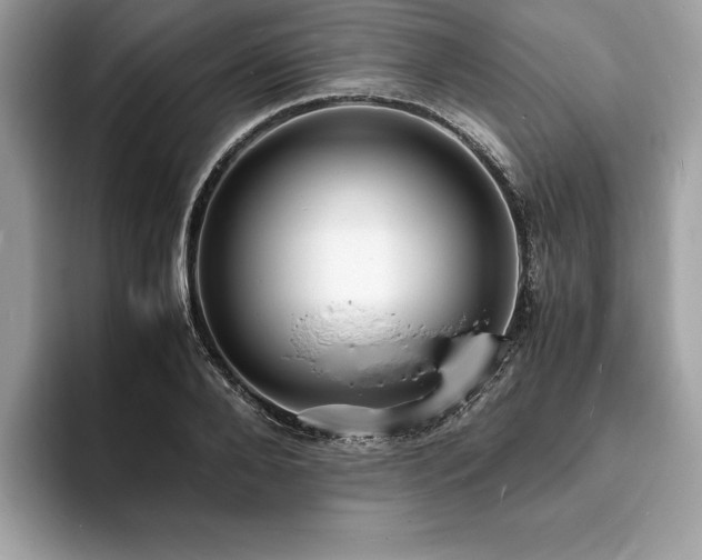 X0000094060888200710191059