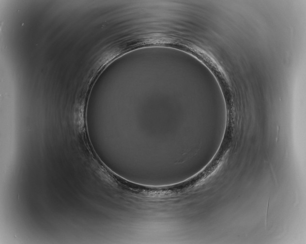 X0000094060889200710191059