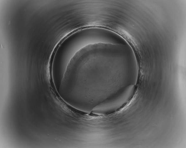 X0000094060892200710191059