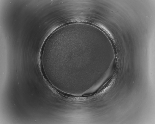 X0000094060893200710191059