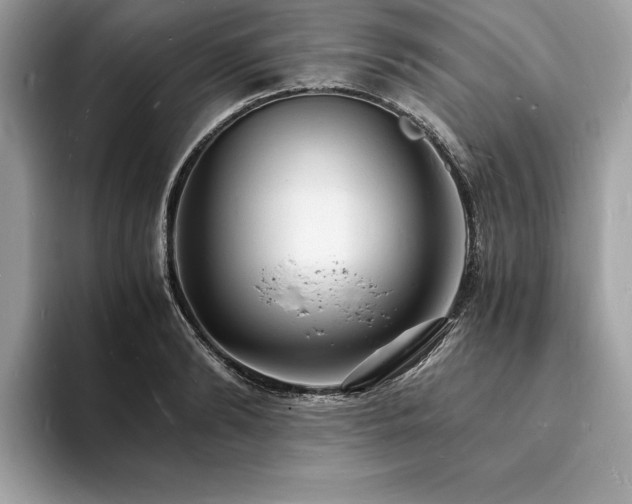 X0000094060894200710191059
