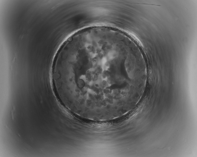 X0000094060895200710191059