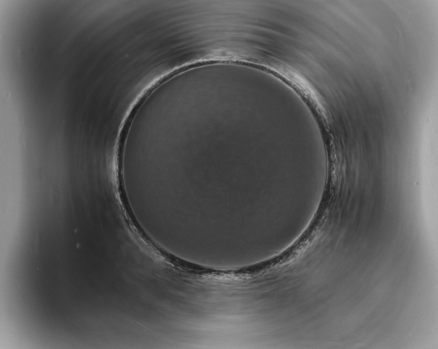 X0000094060896200710191059