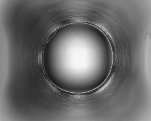 X0000094060897200710191059