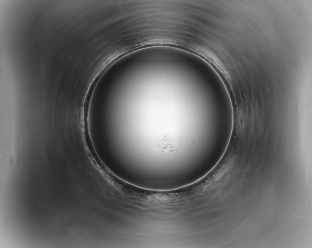 X0000094060898200710191059