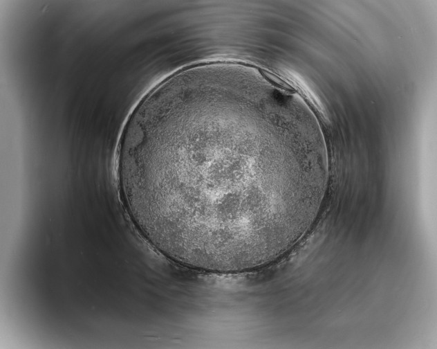 X0000094060900200710191059
