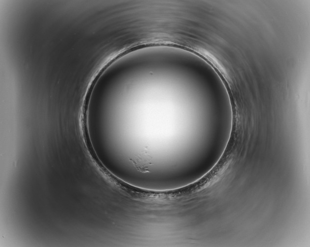 X0000094060901200710191059
