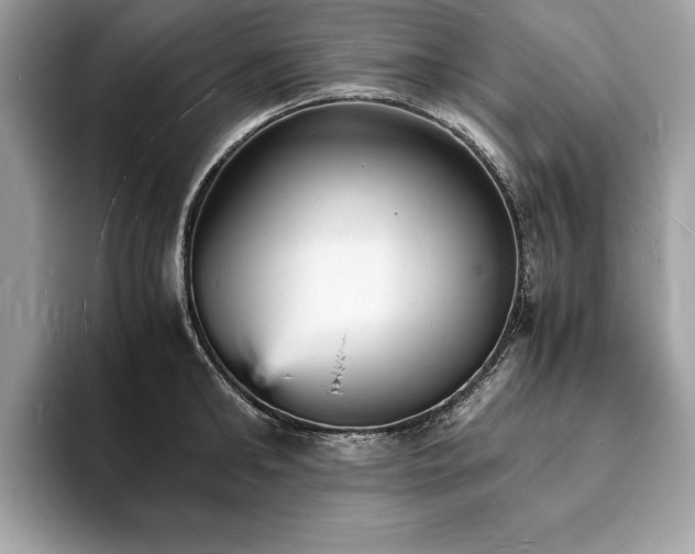 X0000094060902200710191059
