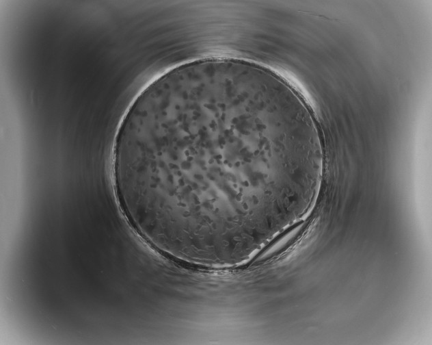 X0000094060903200710191059