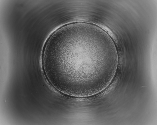 X0000094060904200710191059