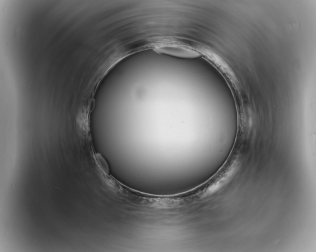 X0000094060905200710191059