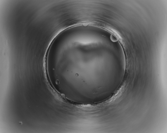 X0000094060907200710191059