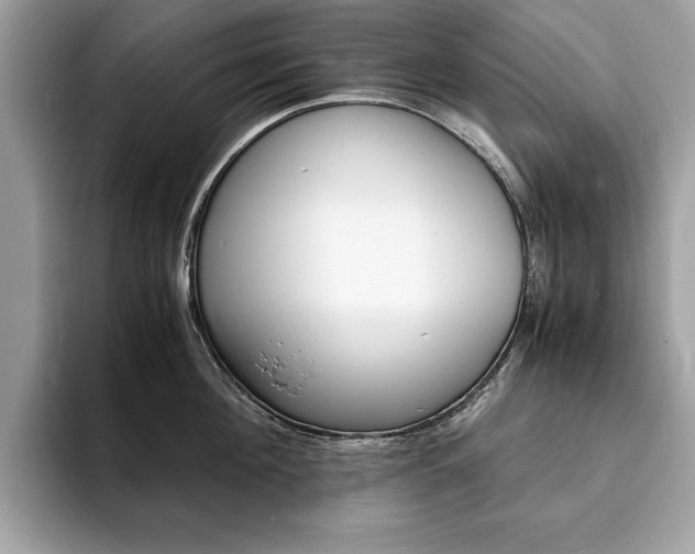 X0000094060908200710191059