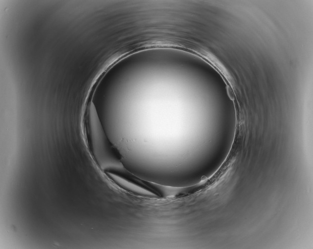 X0000094060909200710191059