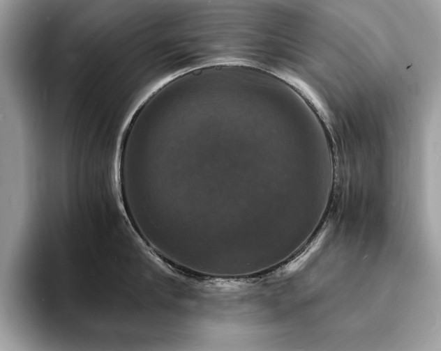 X0000094060910200710191059