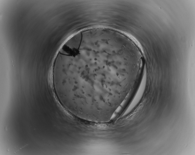 X0000094060911200710191059