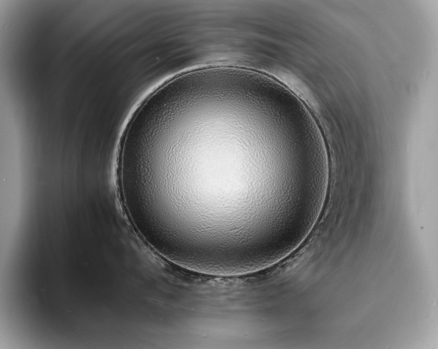 X0000094060912200710191059