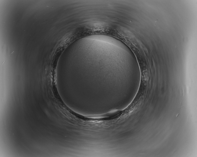 X0000094060916200710191058