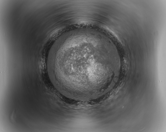 X0000094060918200710191058