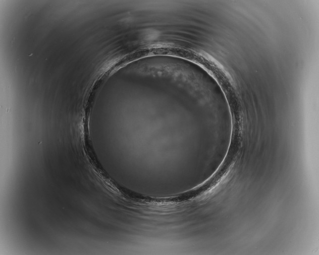 X0000094060921200710191058