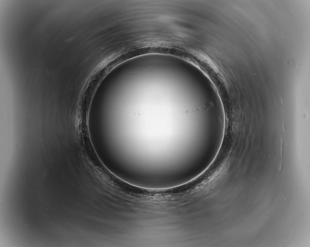 X0000094060922200710191058