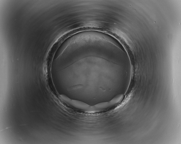 X0000094060923200710191058