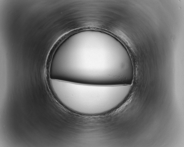 X0000094060924200710191058