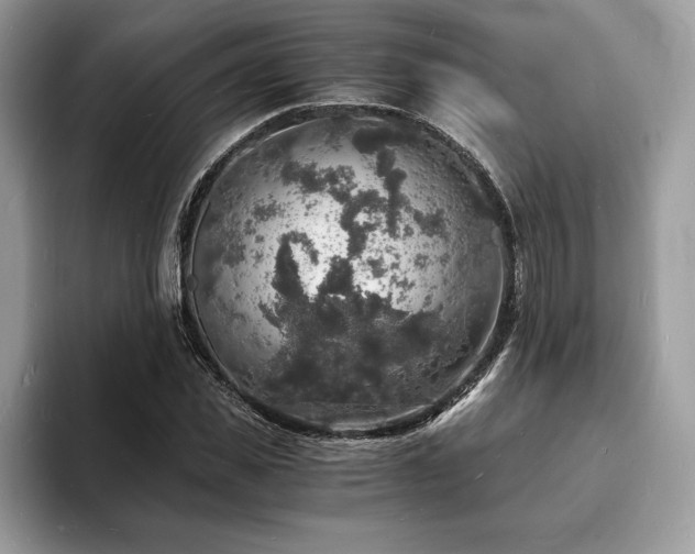 X0000094060925200710191058